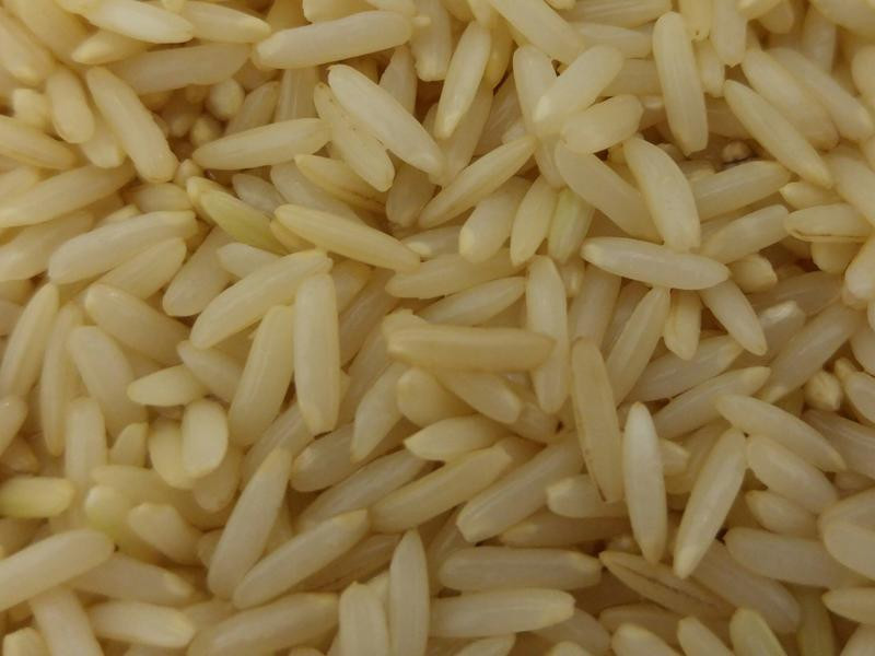 ������׷�������