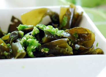 ���㺣���������