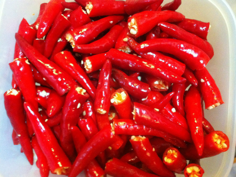 ����������(H~O~~T!!)������