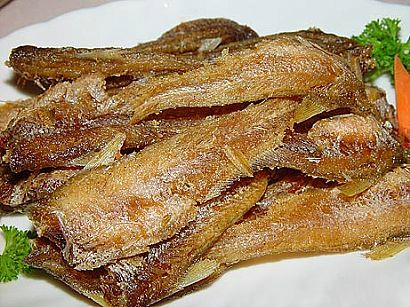 ���㿾���������