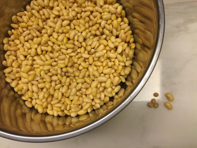 ֥�����󶹽�������