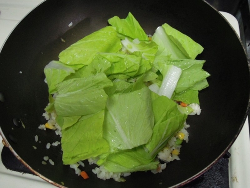 �ײ�Ϻ�ʼ��鵰����������