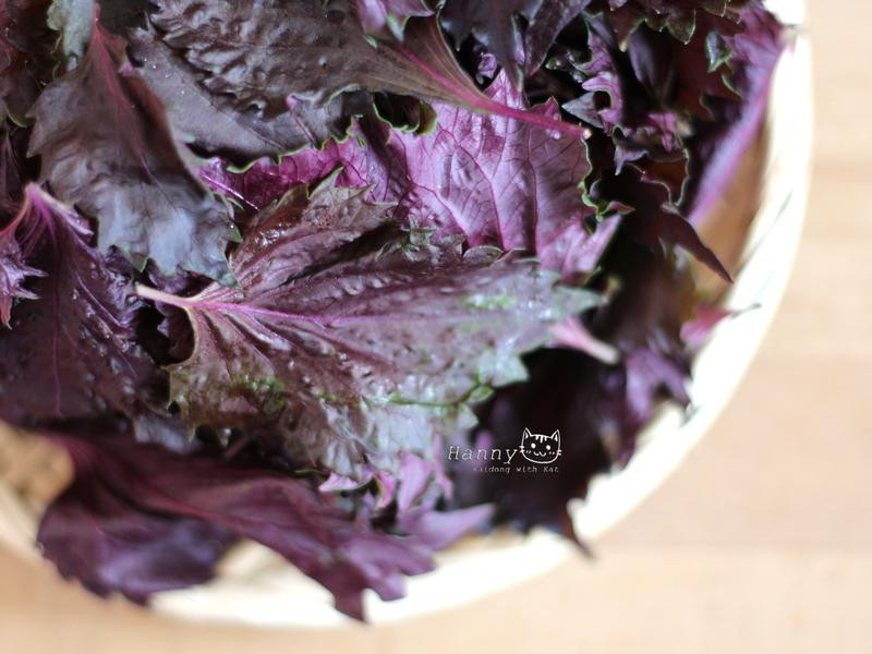 ���շ��۲������