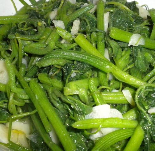 �⳴�Ϲ��ٵ�����