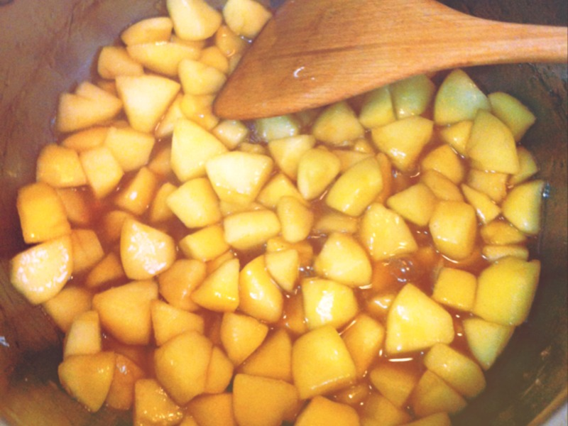 ��Ƥƻ���ɵ�����