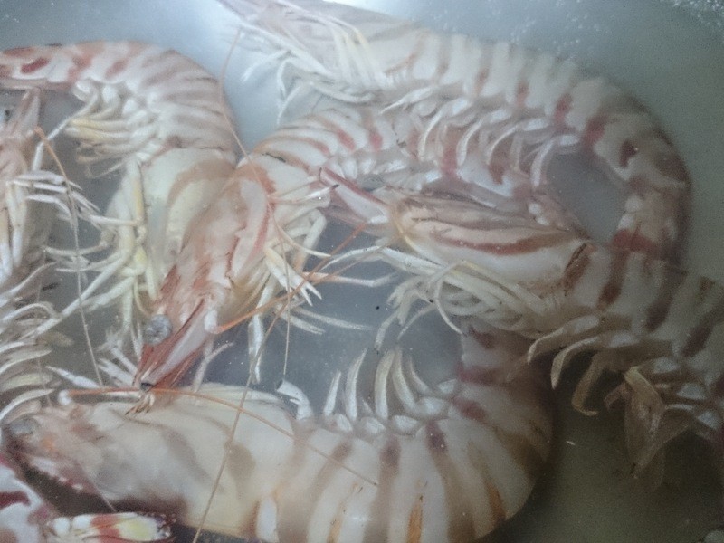 С�ƹ�Ϻɳ��������