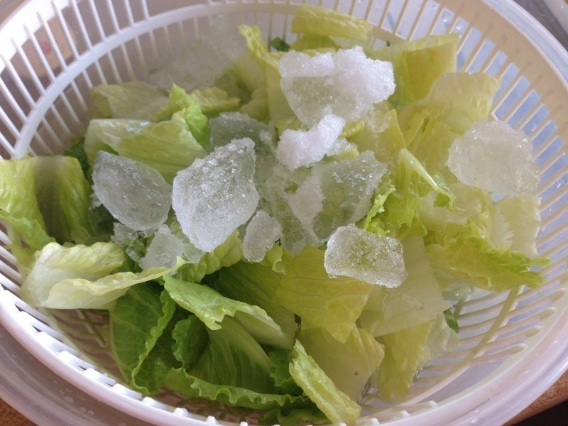 ������ɳ��~�ǹ�С�������ʳ�׵�����