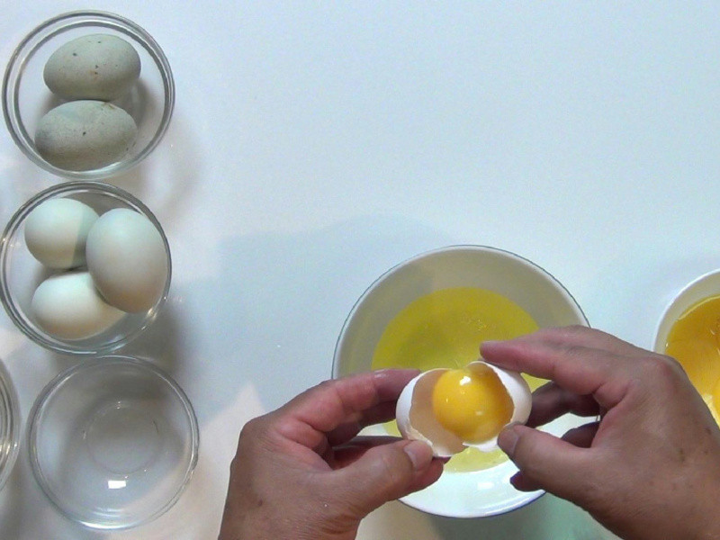 ���۲ˡ� ��ɫ��������