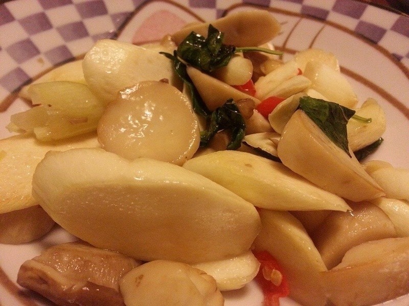 ? �����ӱ��������� ?������