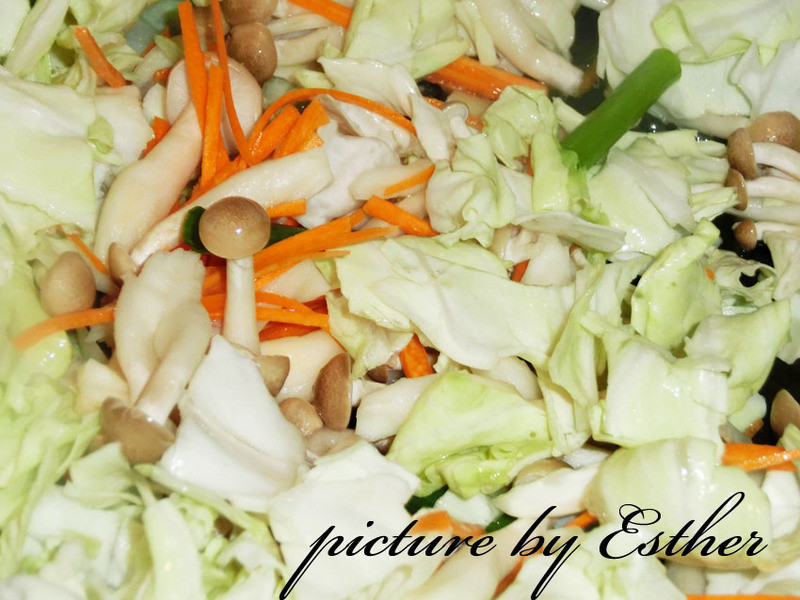 ��͸����˳���������