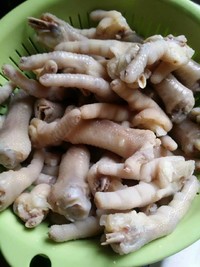 ������������צ������