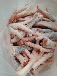 ������������צ������