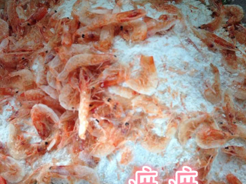 ����������ա�ӣ��Ϻ�����ա�������