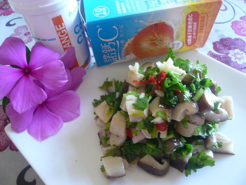 �����㹽������ŵ��C���ݶ���������