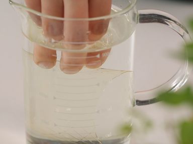 ����̢������