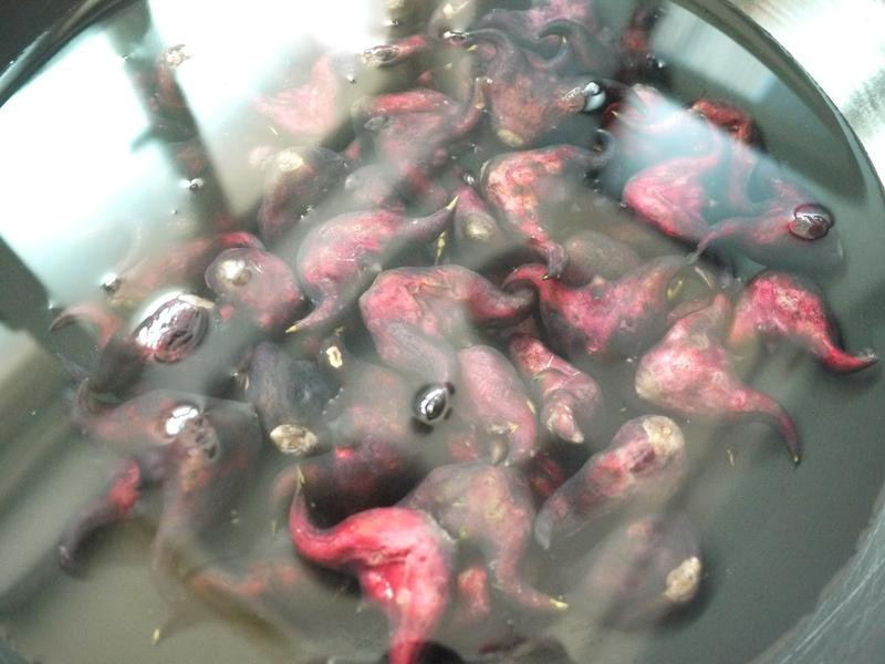 ˮ����ǵ�����