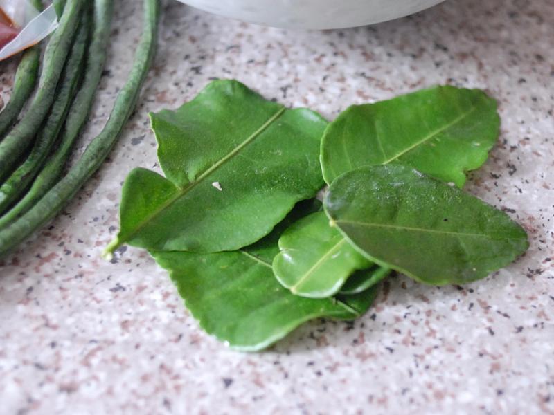 ��ζ̩ʽ���������