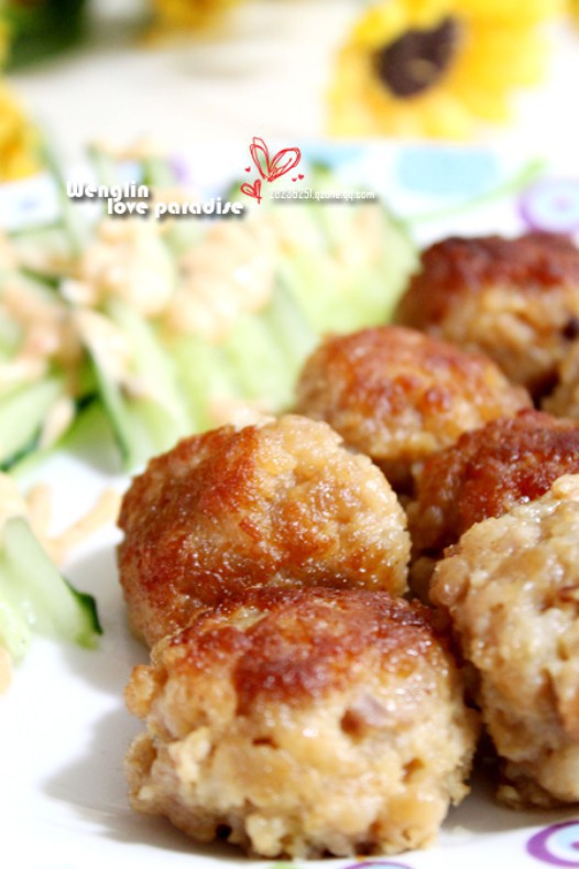 ��������ӵ�����