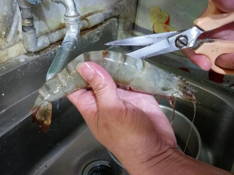 �������ش��Ϻ������