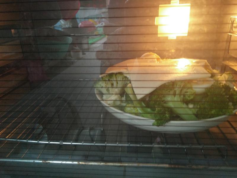 �໨ҬӪ��������ʿ������