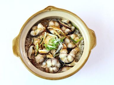 �����������з�������