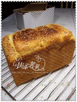 ������˾������