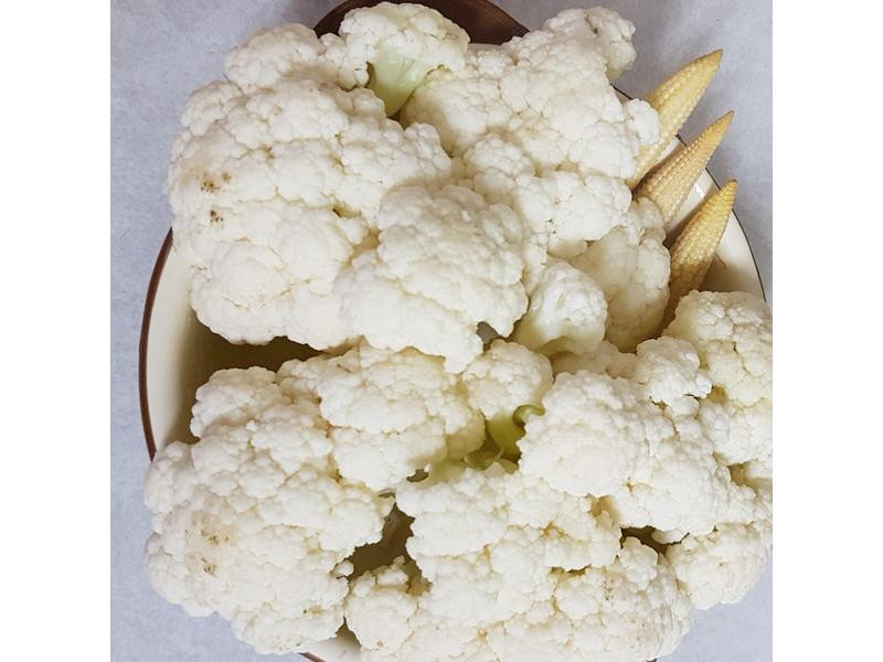 �׽��h��Ҭ������