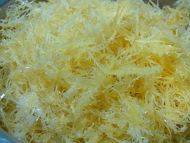 �̲�ʯ����������