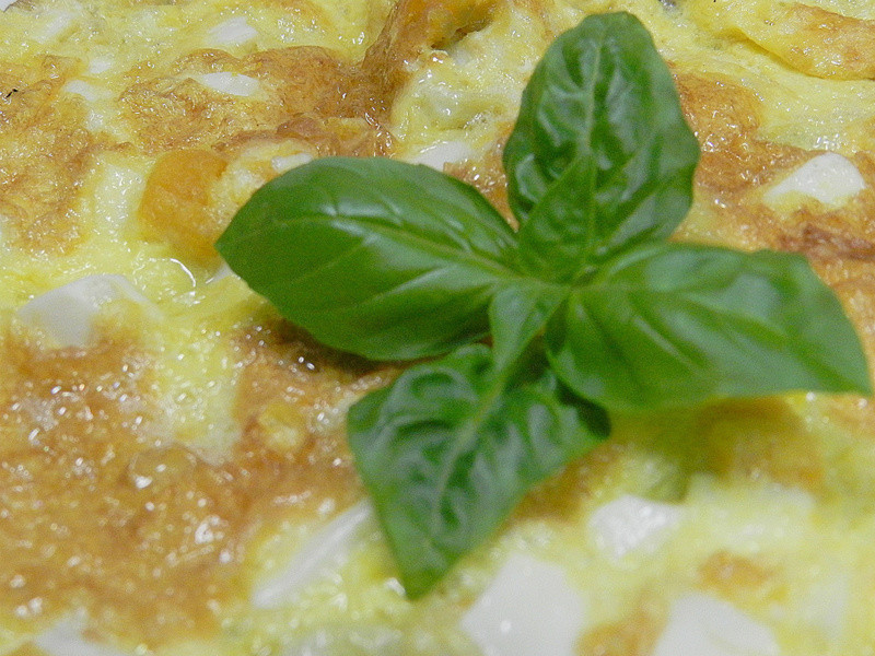 �̵�����������