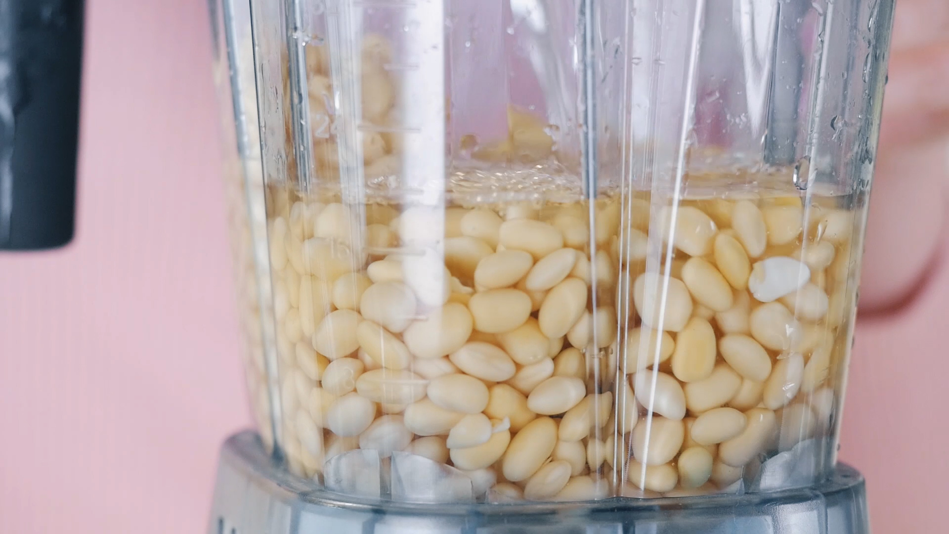 ����������ζ�ռǡ�������