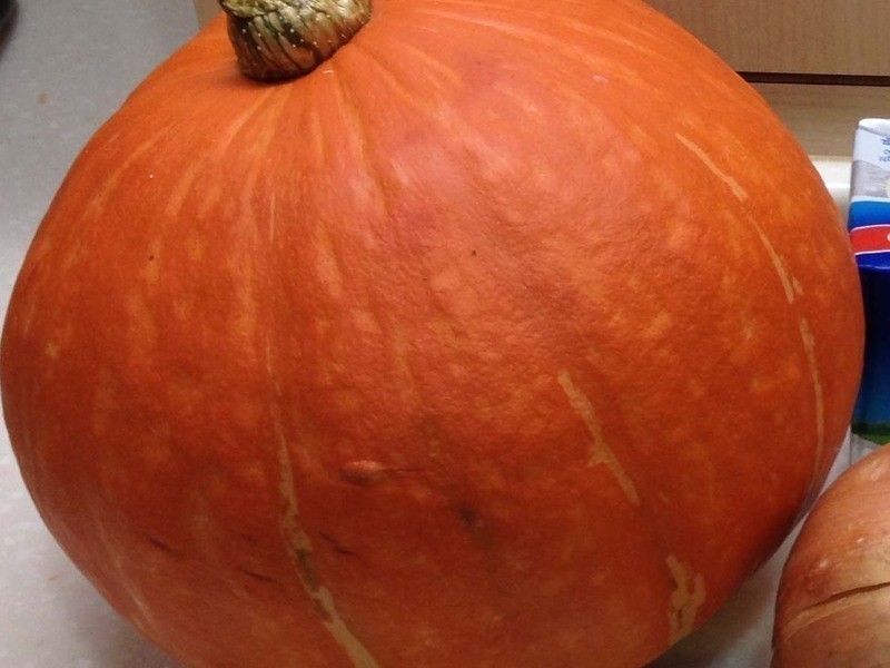 DIY�ƽ��Ϲ�����~�ҳ����������