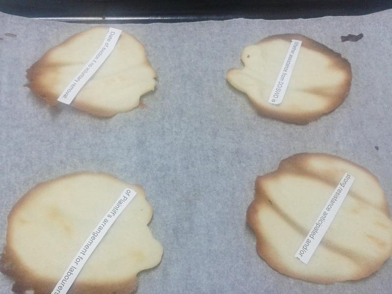 �����������Fortune Cookie������