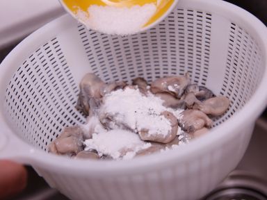 ����ը������