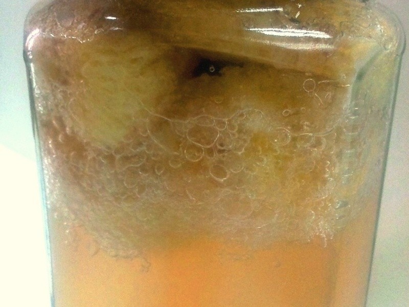 ����DIY�㽶��ĸ������