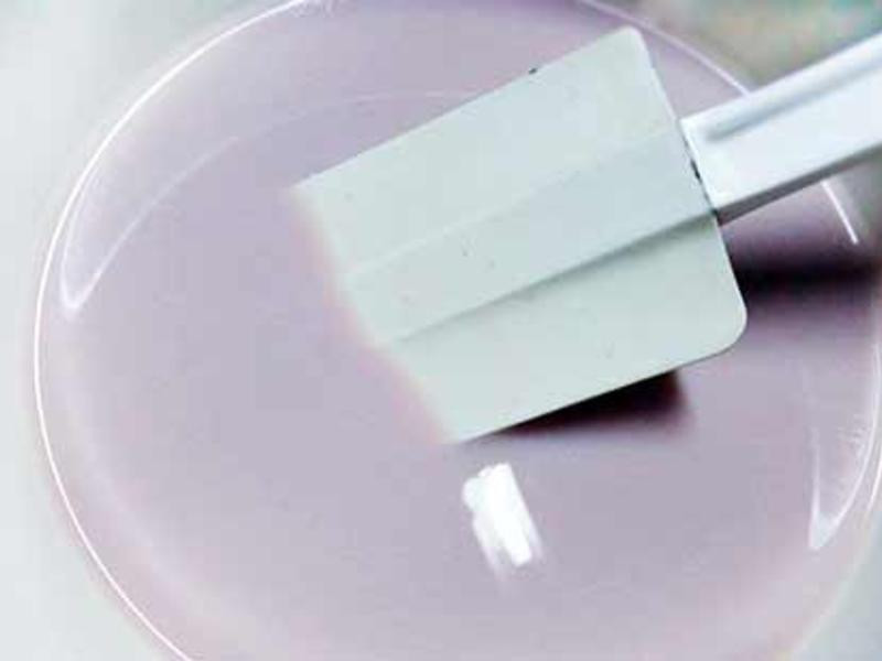 ˫ɫ�޻������ҵ�����