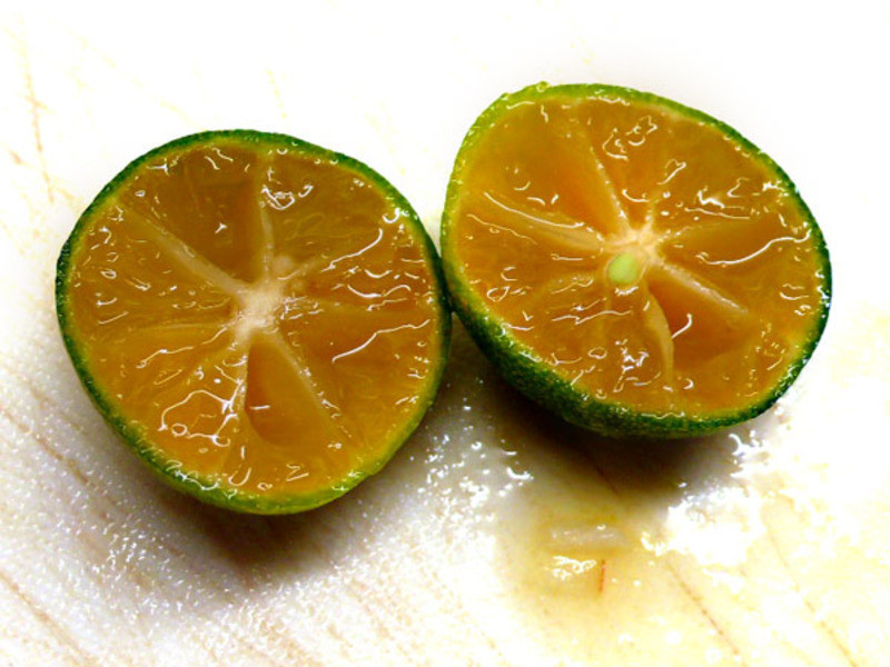 ƻ����۹���������