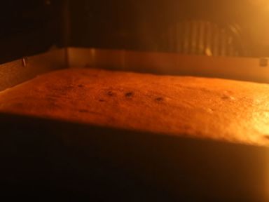 â�������������