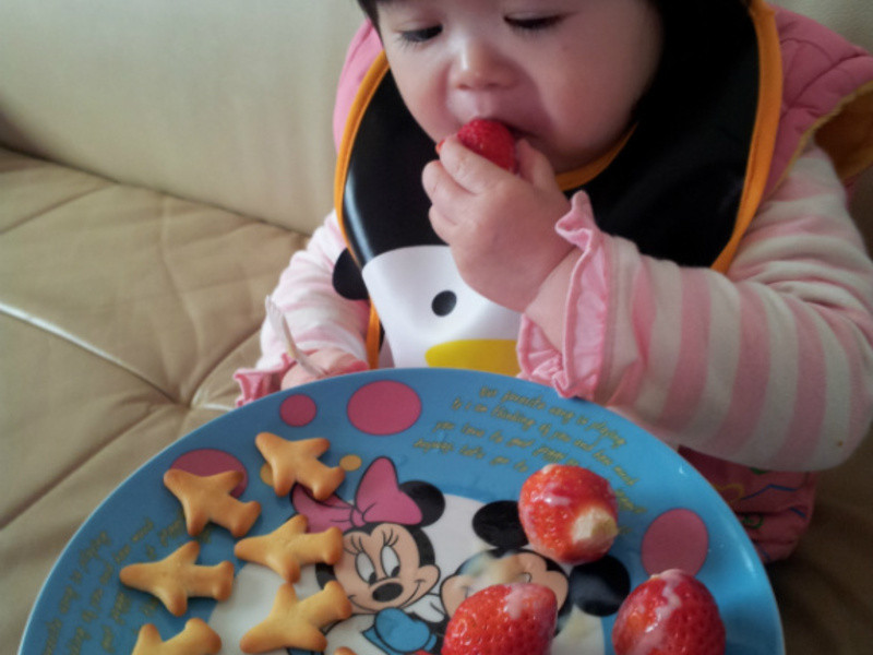 ����ݮ�Ͱ�ӥ�����̡�ͯ����ݮ�̱�������