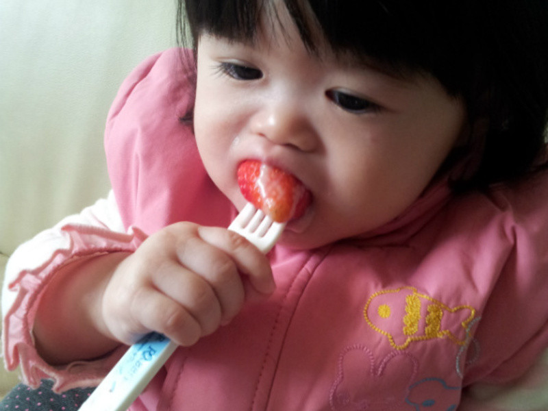 ����ݮ�Ͱ�ӥ�����̡�ͯ����ݮ�̱�������