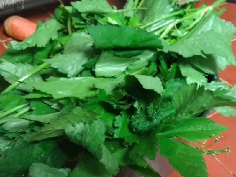 ɽ�۲˰�ը��������