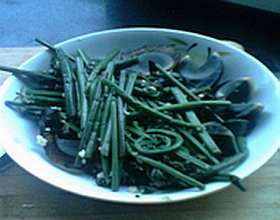 ާ�˰�Ƥ��������