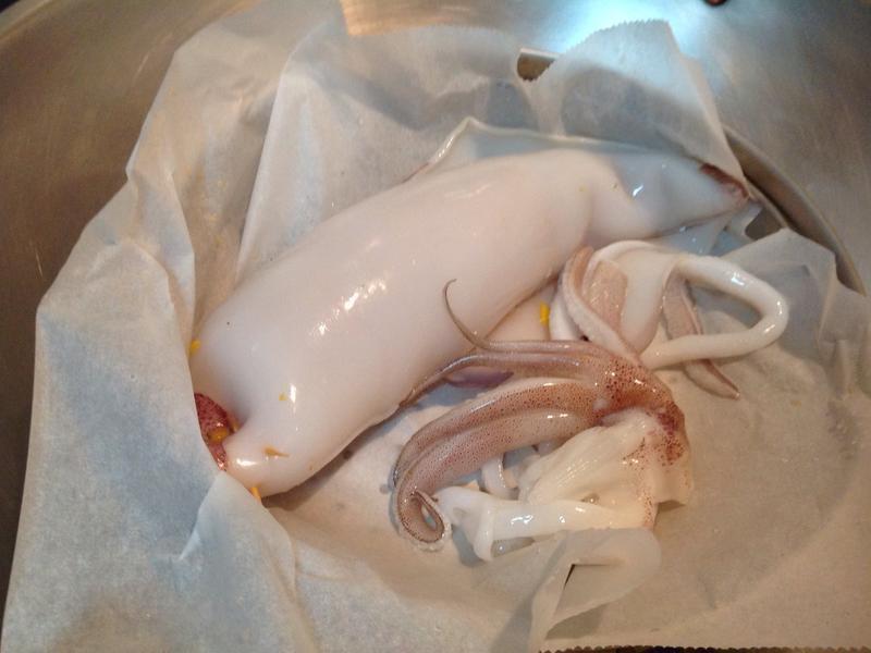 ���꽴�ɱ������Ϲ�͸���������