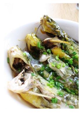 �����Ƹ��������