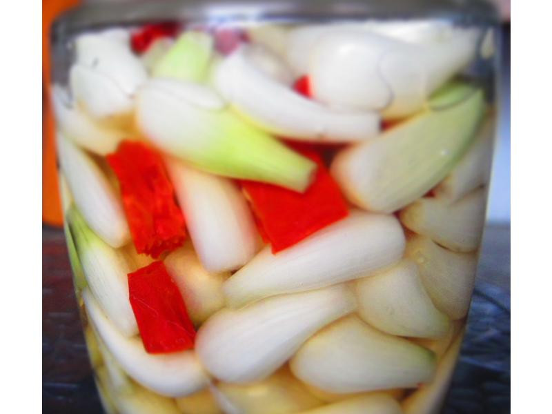 �Zʀ�������