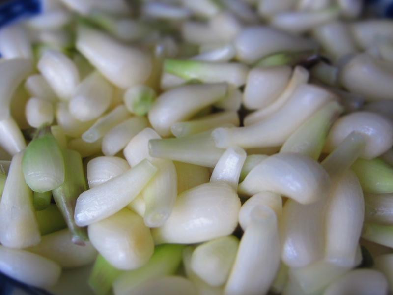 �Zʀ�������