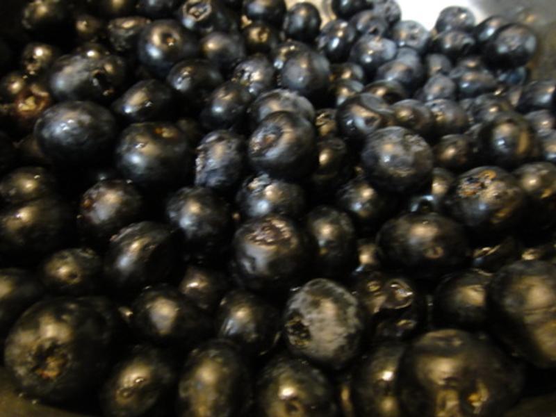 ��ͳ��������������ݮ��?!!!������