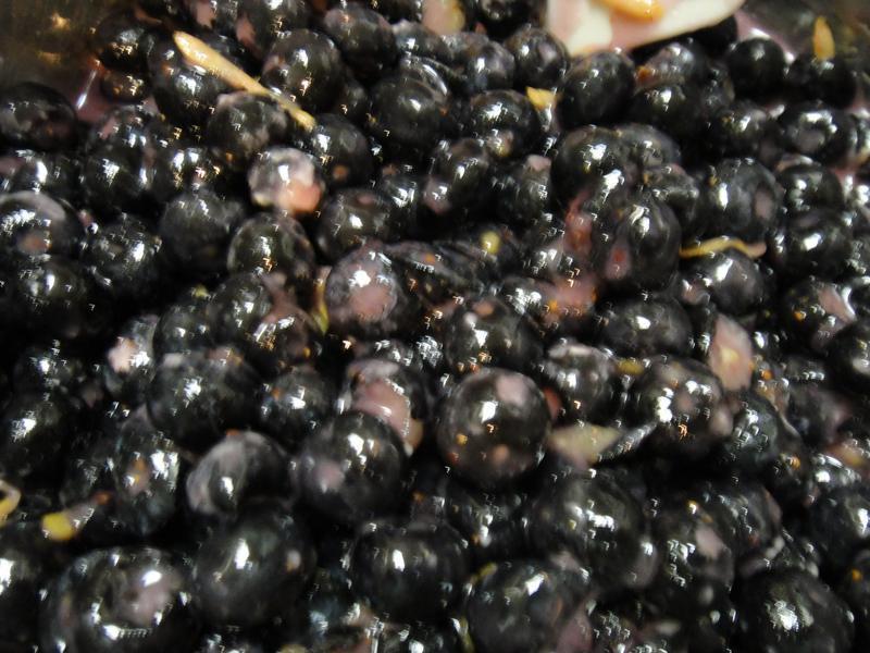 ��ͳ��������������ݮ��?!!!������