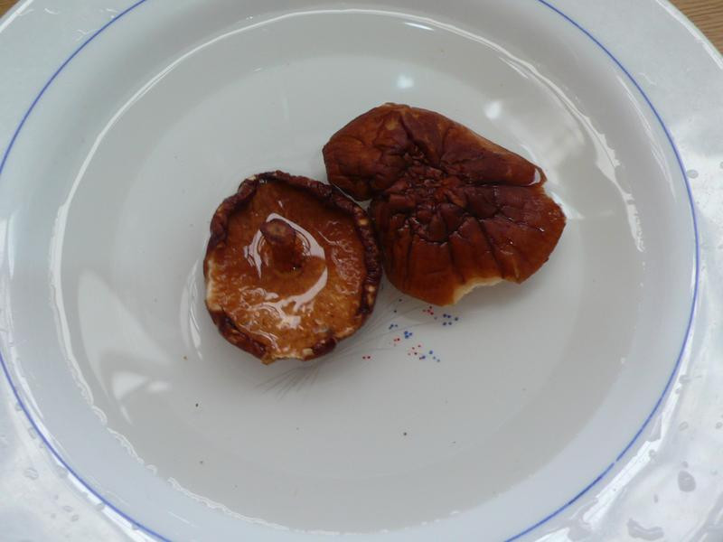 ��������Բ������