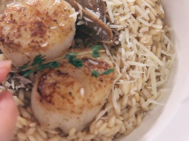 ��֭����ţ�ξ�����������