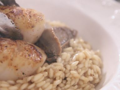 ��֭����ţ�ξ�����������